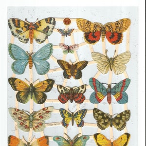 Troquelado de estilo vintage con purpurina plateada en relieve alemán: hermosa mariposa polilla colorida EF7297G