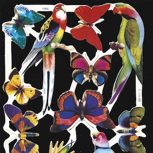 Mamelok English Embossed Vintage Style Scrap Die Cut - Papagei, Vögel, Schmetterlinge BOLD COLOURS 1960