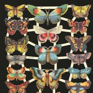Troquelado en relieve de estilo vintage alemán: mariposa polilla colorida EF7426