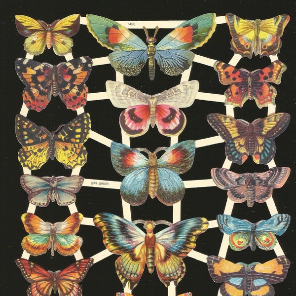 German Embossed Vintage Style Scrap Die Cut Relief - Colorful Butterfly Moth EF7426