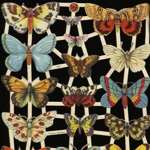 Troqueles de corte de estilo vintage en relieve alemán: hermosa mariposa colorida EF7297