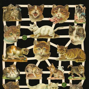Troqueles de corte en relieve de estilo vintage alemán - Gatos maullando / Gatitos EF7329