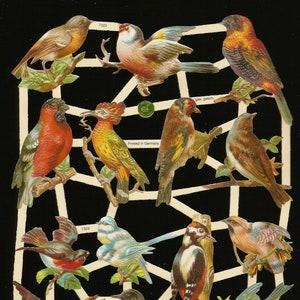 Relieve troquelado estilo vintage alemán en relieve - Pájaros y nidos hermosos EF7323