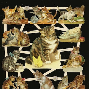 Troqueles de estilo vintage en relieve alemán: gatitos, gatos y animales juguetones EF7407