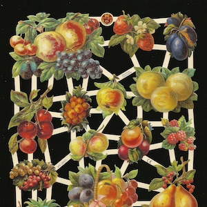Troqueles de corte en relieve de estilo vintage alemán: deliciosas frutas coloridas: piña, arándanos y fresas EF7274