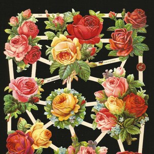 Troqueles de corte en relieve de estilo vintage alemán: hermosas y llamativas flores rosas EF7393
