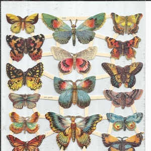 Troqueles de estilo vintage con purpurina plateada y relieve alemán: mariposas y polillas de colores llamativos EF7426G