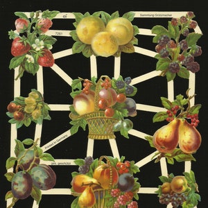Découpage à l'emporte-pièce de style vintage allemand en relief - Variété de fruits colorés EF7261