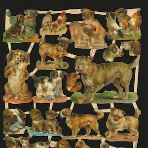 Troqueles de corte en relieve de estilo vintage alemán: perros preciosos/cachorros LINDOS EF7213