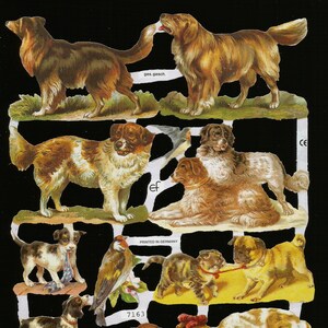 Troquelado de estilo vintage alemán en relieve - Perro/cachorro con sombrero, LINDO EF7163