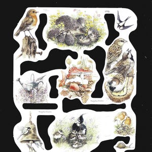 May include: A sheet of die-cut stickers with illustrations of birds, hedgehogs, mushrooms, and other woodland creatures. The illustrations are detailed and colourful, with a vintage aesthetic. The sheet includes the number "1773".