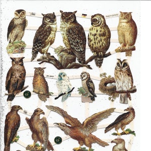 Duits reliëf ZILVEREN GLITTER vintage stijl schroot gestanst - uil / roofvogels EF7333G