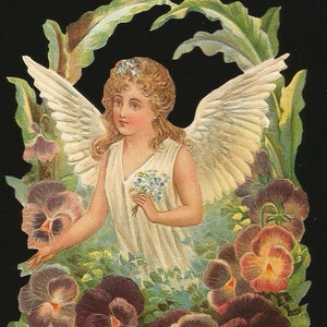 Rilievo in rilievo in stile vintage tedesco - Grandi fiori di viole del pensiero di Natale e Pasqua angelo BK5026 (serie BK)
