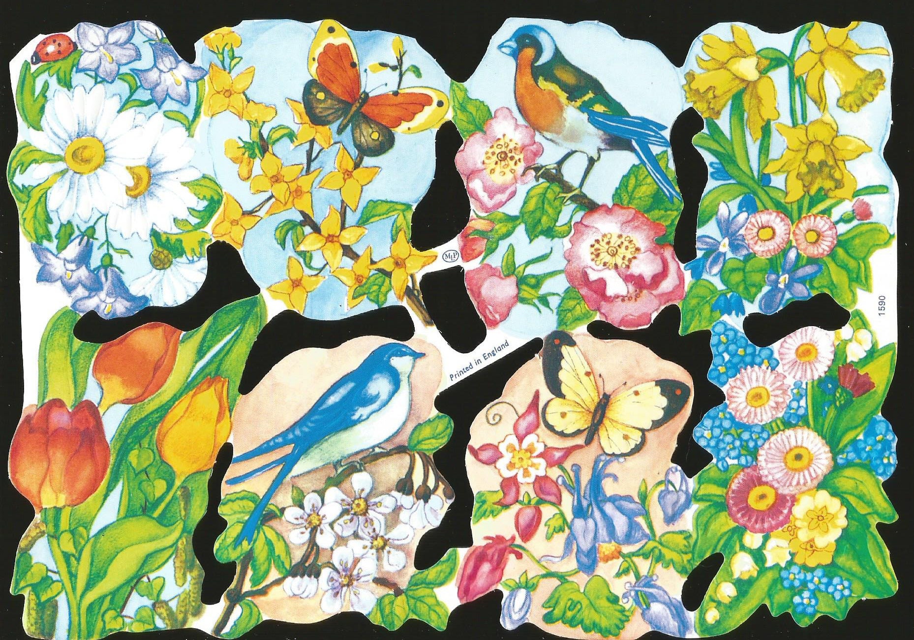 Colorful Birds & Butterflies WOW 1961 Mamelok Embossed English Scrap Die Cut 