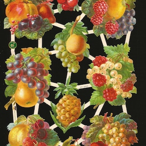 Troqueles de corte en relieve de estilo vintage alemán - Fruit Yummy EF7375