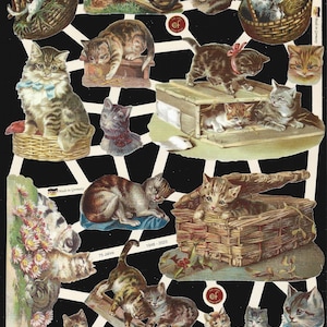 Geprägte Vintage Style Schrottstanzschablone - Bunte Kätzchen / Katzen EF7424 (Neues Design für 2023)