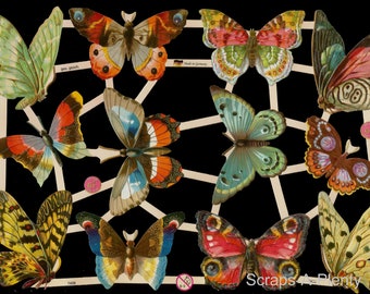 German Embossed Vintage Style Scrap Die Cut Relief - Colorful Butterfly & Moths EF7408