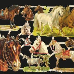 Troquelado de estilo vintage alemán en relieve - Caballos majestuosos, caballos y más EF7236