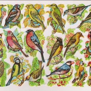 Wunderschöne Farbige Vögel Stanzform aus Kupfer im Vintage Stil EF7144