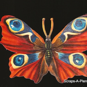 Recorte de sucata estilo vintage em relevo alemão - borboleta grande WOW BK5099 (série BK)