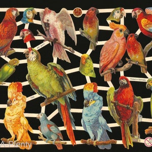 Relieve troquelado estilo vintage alemán - Pájaros de colores brillantes EF7303