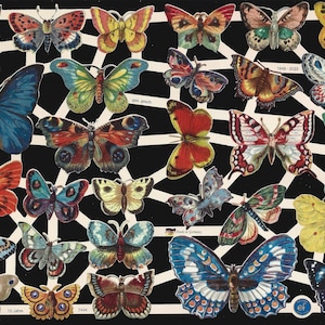 Deutsche Prägung Vintage Style Stanzschablone - Bunte Schmetterlinge EF7444 (Neues Design 2023)