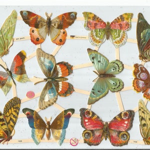 Ernst Freihoff mbh German Embossed SILVER GLITTER Vintage Style Scrap Die Cut Relief - Beautiful Colorful Butterfly Moth EF7408G