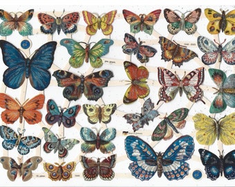 May include: A sheet of vintage butterfly stickers featuring a range of colours, patterns, and sizes. The stickers are printed on a white background and have a glossy finish.
