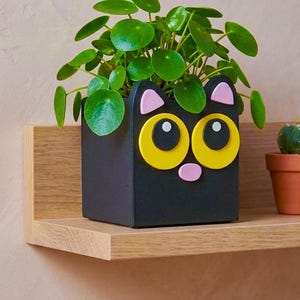 Peut inclure: Un pot de fleurs carré noir avec un visage de chat, avec des yeux jaunes, un nez et des oreilles roses. Le pot contient une plante verte à feuilles rondes. Le pot est posé sur une étagère en bois.