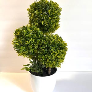 May include: A topiary plant featuring two stacked, spherical clusters of small, vibrant green leaves. The plant is potted in a smooth, solid white ceramic container with a rounded base, displaying a clean and simple aesthetic for indoor decor.