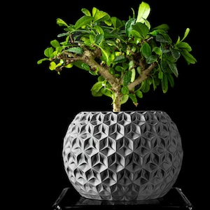 May include: A small green bonsai tree with a thick, textured trunk and vibrant leaves planted in a spherical gray planter. The planter features a repeating geometric pattern of recessed triangles and raised points across its entire surface.