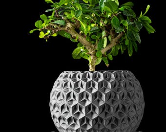 Trihex Honeycomb Planter | Modern Indoor Plant Pot | Custom Color & Size | Succulent Cactus Monstera Gift