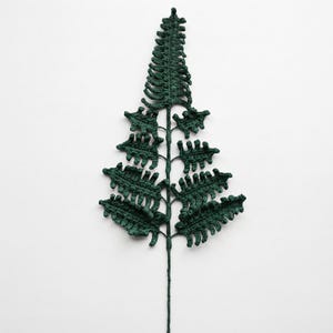 May include: A dark green crochet fern leaf with a central stem and symmetrical, textured fronds branching out. The piece is crafted with fine yarn, showing intricate stitch details throughout the foliage, creating a realistic botanical appearance.