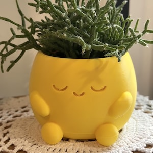 May include: A bright yellow, round planter shaped like a small character with two arms and two feet. The planter features an engraved face with closed eyes and a small smile. A green, branching succulent plant grows out of the top of the container.