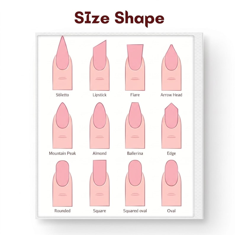 May include: A chart titled Size Shape displaying twelve illustrations of fingernails with different shapes and labels: Stiletto, Lipstick, Flare, Arrow Head, Mountain Peak, Almond, Ballerina, Edge, Rounded, Square, Squared oval, and Oval.