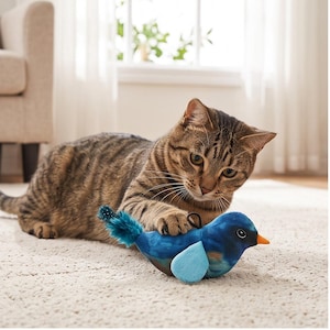 Könnte beinhalten: Ein Plüschvogel-Spielzeug mit blauem Körper, hellblauen Flügeln, orangefarbenem Schnabel und einem dunkelblauen Feder-Schwanz. Das Spielzeug hat eine kleine schwarze Schlaufe auf dem Rücken und ein realistisches Druckmuster auf dem Stoff.