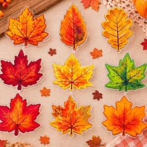 Peut inclure: Un ensemble de neuf ornements en acrylique en forme de feuilles aux couleurs automnales variées, incluant du rouge, de l'orange, du jaune et du vert. Chaque pièce présente des nervures détaillées et un contour transparent.