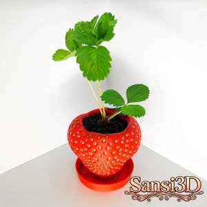 Strawberry Flower Pot Home Decor: 3MF File for 3D Printing (Digital Download)