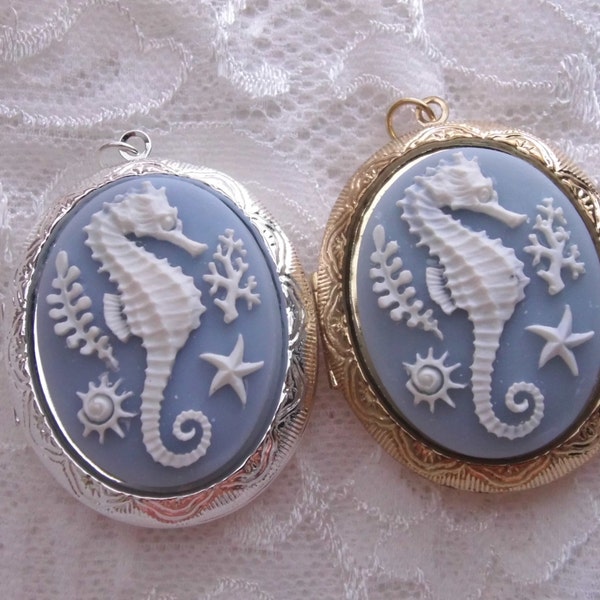 Sea Life Seahorse Blue White Large Photo Locket Necklace with free chain