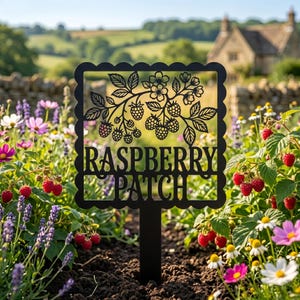 May include: A black metal garden sign with a scalloped square frame featuring a laser-cut design of raspberry branches with berries and leaves. The text RASPBERRY PATCH is cut out in the center. The sign includes a stake for ground insertion.