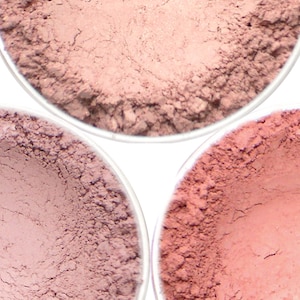 Vegan Mineral Blush Set: Light Pink & Plum Tones