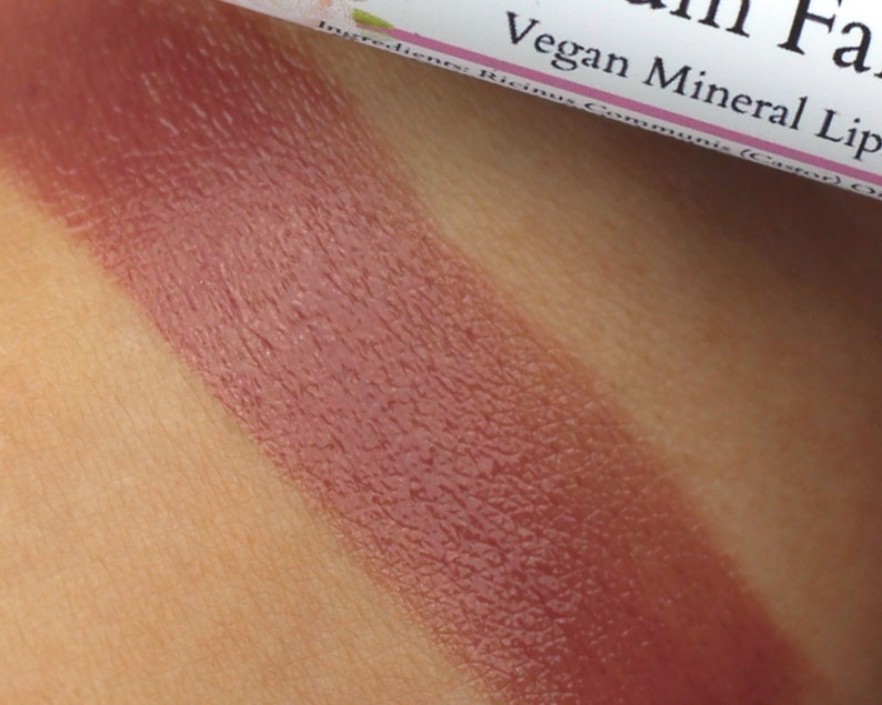 Lipstick Sample Plum Fairy natural light plum color, vegan lip tint, balm, lip colour image 4