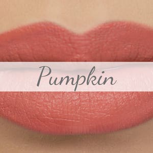 Pin by Stylish Momma on MAC Lipsticks  Neutral lipstick, Lipstick swatches,  Mac matte lipstick