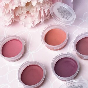 10 Piece Lipstick Sample Set with Optional Lip Applicators - choose your shades - Vegan Lipstick