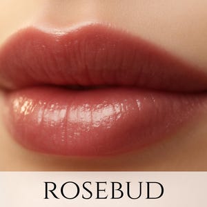 Sheer Lipstick Sample - &quot;Rosebud&quot; natural red lip color - vegan