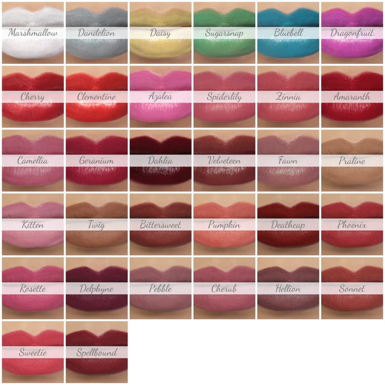 Vegan Lipstick Snapdragon pearly coral peach lipstick color natural lip tint, balm, lip colour mineral lipstick image 6