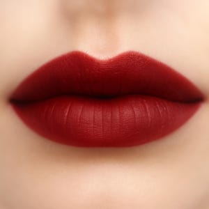 Matte Lipstick - &quot;Deathcap&quot; red vegan lipstick - natural organic mineral makeup