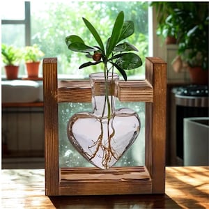 Heart Glass Hydroponic Vase: Wooden Frame Plant Propagation Station Desk Decor