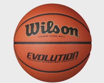 Customized Personalized Wilson Evolution Indoor Basketball