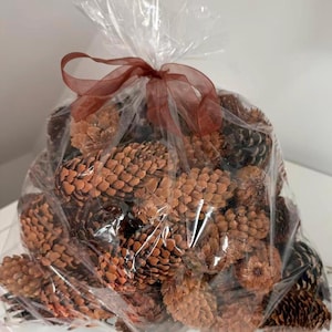 May include: A clear cellophane bag filled with brown pine cones of various sizes. The bag is tied with a brown ribbon. The pine cones are a mix of light and dark brown.